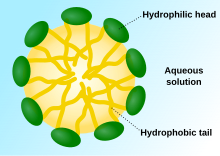 Scheme of a micelle spontaneously formed by phospholipids in an aqueous solution Micelle scheme-en.svg