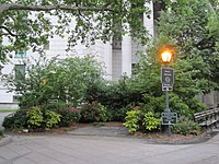 Área verde em Foley Square