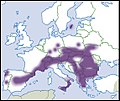 Vorschaubild der Version vom 23:00, 11. Mai 2018