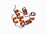 1a1w: دومین مجری مرگ در FADD، جهش F25Y، ساختار میانگین و خلاصه‌شده، بدست‌آمده از NMR