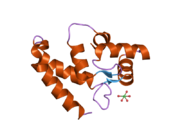 2d58: Human microglia-specific protein Iba1