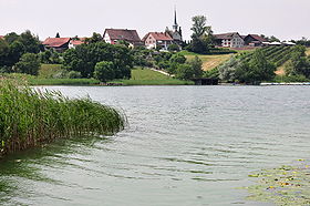 Blick über den Pfäffikersee und das Robenhausener Ried auf Seegräben