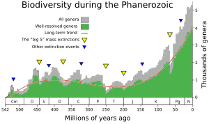 Declines in the numbers of terrestrial and aquatic genera at times of extinction events. Phanerozoic Biodiversity.svg