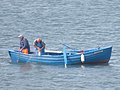 2019年8月12日 (月) 14:06時点における版のサムネイル