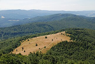 Polana Stumorgowa, widok z wieży na Mogielicy