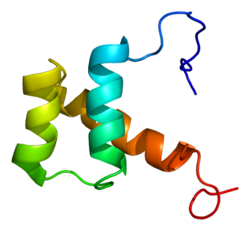 Protein DLX5 PDB 2djn.png