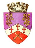 Wappen von Drăgășani