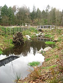 Daylighted creek at recreation fields, spring 2007