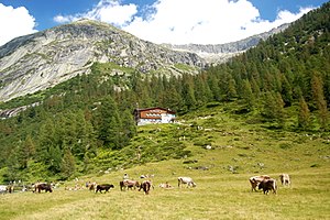 Rifugio Val di Fumo