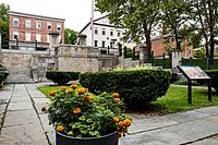 Jardim com flores amarelas