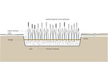 Schematic of a free-water surface constructed wetland: It aims to replicate the naturally occurring processes, where particles settle, pathogens are destroyed, and organisms and plants utilize the nutrients. Schematic of the Free Water Surface Constructed Wetland.jpg