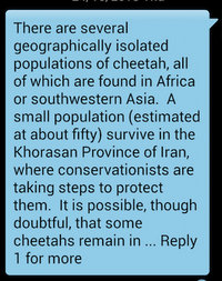 Screenshot Cheetah SMS Reply, 2013