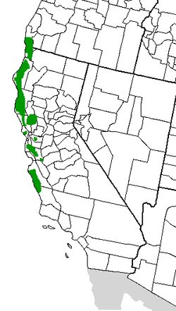 Sequoia sempervirens Distribution.png