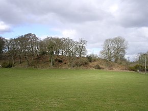 Buckland Rings viewed from the south