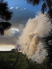 Prescribed fire on St. Vincent Island