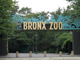 Image illustrative de l’article Zoo du Bronx
