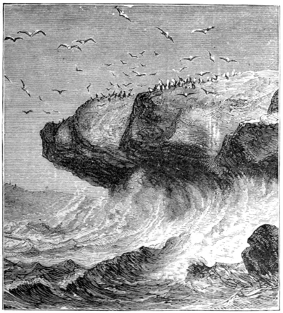 ACTION OF WAVES UPON A ROCKY SHORE.