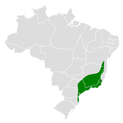 Distribución geográfica del titirijí cabecigrís.