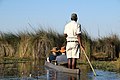 Tourists in a mokoro