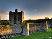 Norman keep in Trim, County Meath Trim Castle 6.jpg