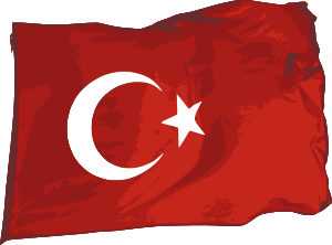 Flag of Turkey , Vector