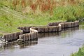 Der abgetrennte Kanal im Flussbett