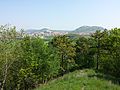 Blick vom Šibeničník nach Norden in Richtung Mikulov und Svatý kopeček u Mikulova.