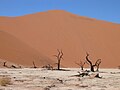 2006年1月27日 (金) 19:49時点における版のサムネイル