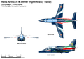 M-345 der „Frecce Tricolori“ (2014)