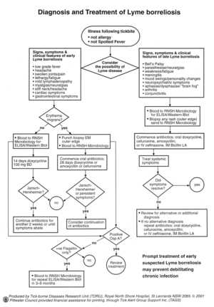 Doctors algorithm for Australian Lyme-like disease