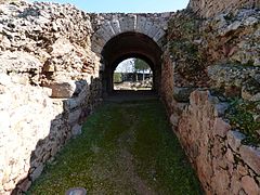 Túnel de acceso a la arena.