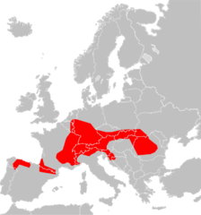 Mapa występowania