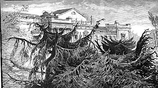 Destrozos en el arbolado junto al Palacio de Vista Alegre, también de las páginas de La Ilustración Española y Americana