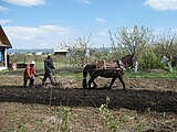 Белорецкие Башкиры возделывают землю