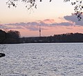 Der Fernmeldeturm von der Großen Steinlanke aus gesehen