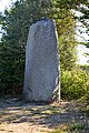 Menhirs du Plessis