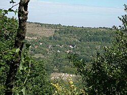 View from Buchukovtsi