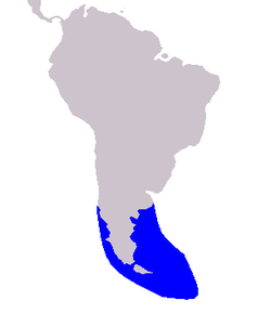 Distribución de Lagenorhynchus australis