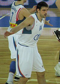 Dalibor Bagarić in 2010