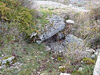 Dolmen du Genévrier