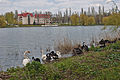 Shakhtar Donetsk training grounds in Kirsha