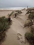 Platja dels Muntanyans (Torredembarra)