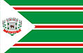 Bandeira de Erval Grande