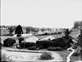 Garden, Nindooinbah Station, ca 1924