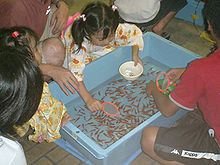 View from above of children gathered around a  pale blue rectangular tub filled with many small orange fish swimming in  water. A girl at the top of the scene leans over the tub, with a pink  scoop in her right hand and a white bowl in her left hand.