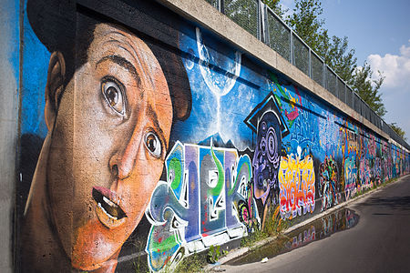 Graffiti alongside the Bloomingdale Trail in 2015