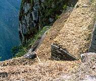 Eine Terrasse am Huayna Picchu