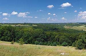 Панорама села Врублівці від оглядового майданчика над Дністром біля гирла Тернави