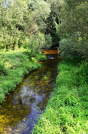 Linkava prie Rabikių