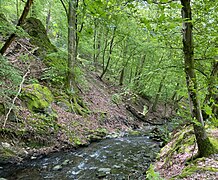 Lobach im Gefälle mit felsigem Steilufer bei Hammertal